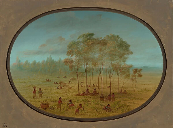 Kiowa Indians Gathering Wild Grapes, 1861  /  1869. Creator: George Catlin