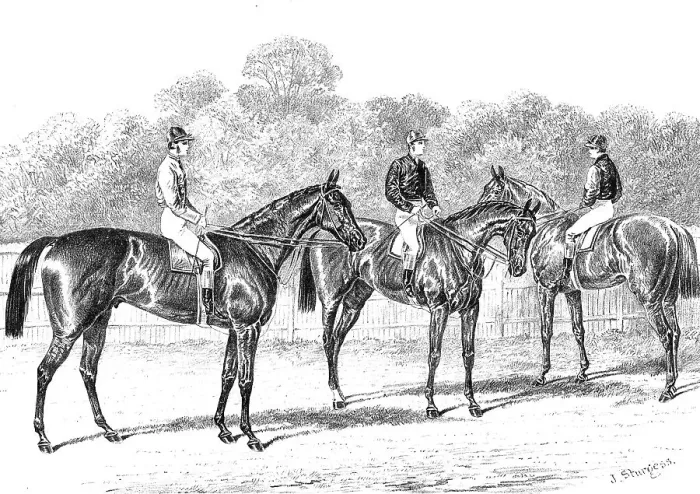Framed Print : Kisber (Winner of the Derby); Enguerrande and Camelia (Runners of the Dead-Heat for the Oaks), 1876. Creator: Unknown Framed Print : Kisber (Winner of the Derby); Enguerrande and Camelia (Runners of the Dead-Heat for the Oaks), 1876. Creator: Unknown