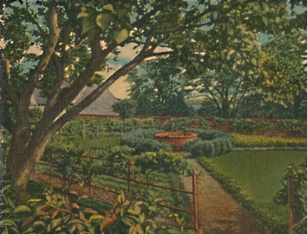 The Kitchen Garden, 1946