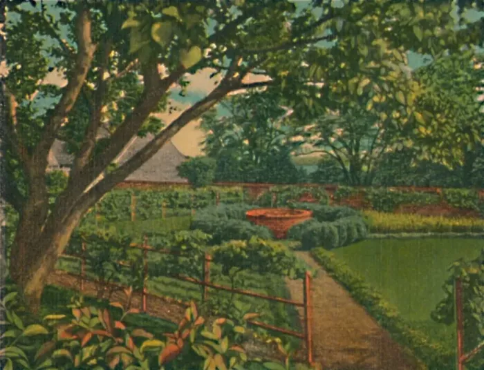 Framed Print : The Kitchen Garden, 1946 Framed Print : The Kitchen Garden, 1946