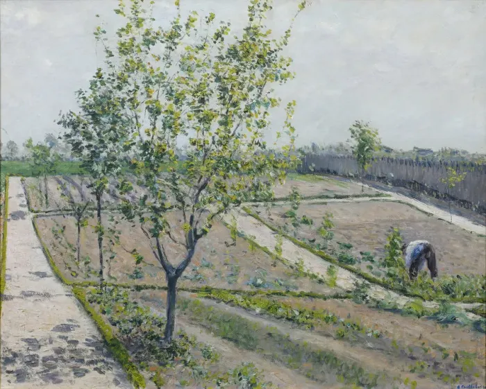 Framed Print : Kitchen Garden, Petit Gennevilliers, 1881-1882 Framed Print : Kitchen Garden, Petit Gennevilliers, 1881-1882