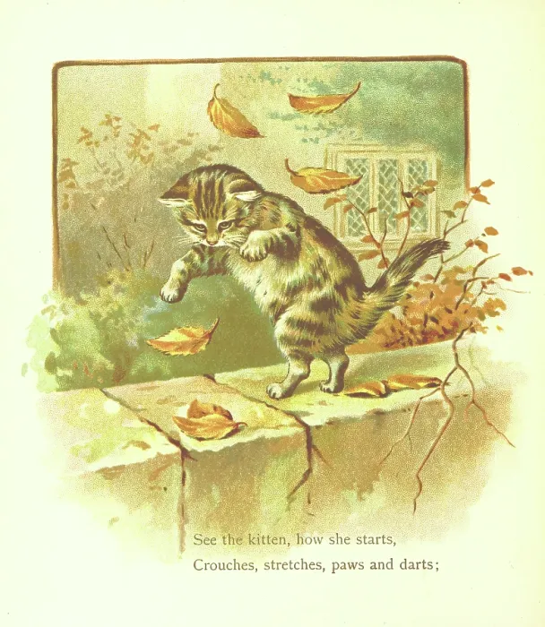 Framed Print : See the kitten, how she starts, Crouches, stretches, paws and darts, 1893. Creator: Jessie Hall Framed Print : See the kitten, how she starts, Crouches, stretches, paws and darts, 1893. Creator: Jessie Hall