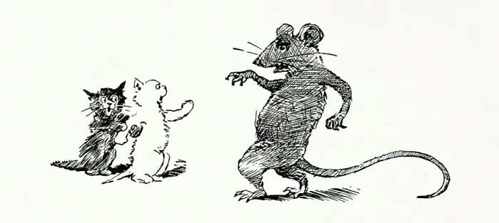 Framed Print : Kittens and rat, 1894. Creator: Unknown Framed Print : Kittens and rat, 1894. Creator: Unknown