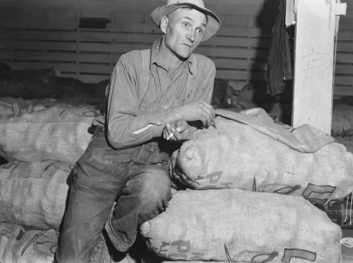 Framed Print : Klamath Basin potato farmer, Tulelake, Siskiyou County, California, 1939. Creator: Dorothea Lange Framed Print : Klamath Basin potato farmer, Tulelake, Siskiyou County, California, 1939. Creator: Dorothea Lange