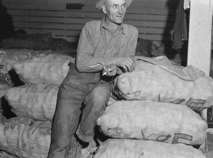 Framed Print : Klamath Basin potato farmer, Tulelake, Siskiyou County, California, 1939. Creator: Dorothea Lange Framed Print : Klamath Basin potato farmer, Tulelake, Siskiyou County, California, 1939. Creator: Dorothea Lange