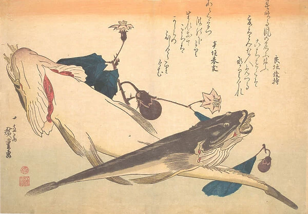 Kochi Fish with Eggplant, from the series Uozukushi (Every Variety of Fish), 1830s. 1830s. Creator: Ando Hiroshige