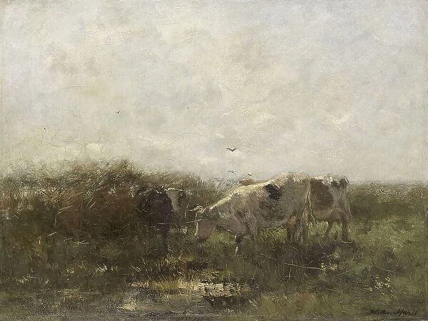 Koeien, 1880-1904. Creator: Willem Maris