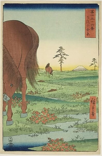 Kogane Plain in Shimosa Province (Shimosa Koganehara), from the series 'Thirty-six Views... 1858. Creator: Ando Hiroshige. Kogane Plain in Shimosa Province (Shimosa Koganehara), from the series 'Thirty-six Views... 1858
