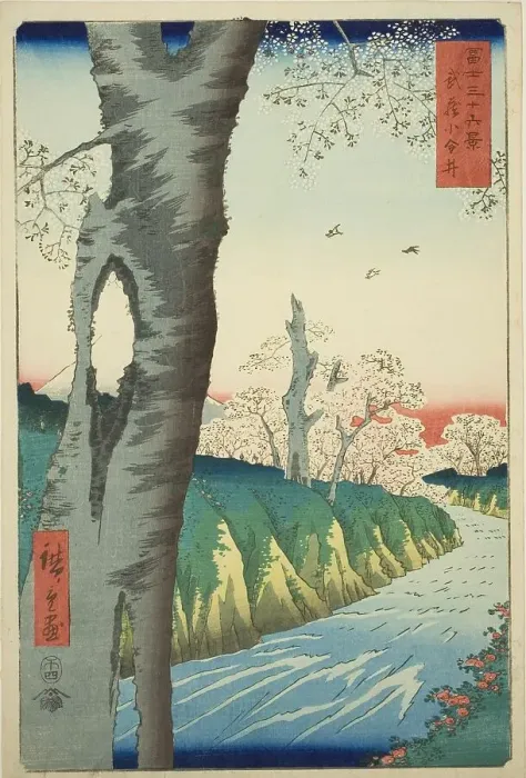 Framed Print : Koganei in Musashi Province (Musashi Koganei), from the series Thirty-six Views of Mount... 1858. Creator: Ando Hiroshige. Koganei in Musashi Province (Musashi Koganei), from the series Thirty-six Views of Mount... 1858 Framed Print : Koganei in Musashi Province (Musashi Koganei), from the series Thirty-six Views of Mount... 1858. Creator: Ando Hiroshige. Koganei in Musashi Province (Musashi Koganei), from the series Thirty-six Views of Mount... 1858