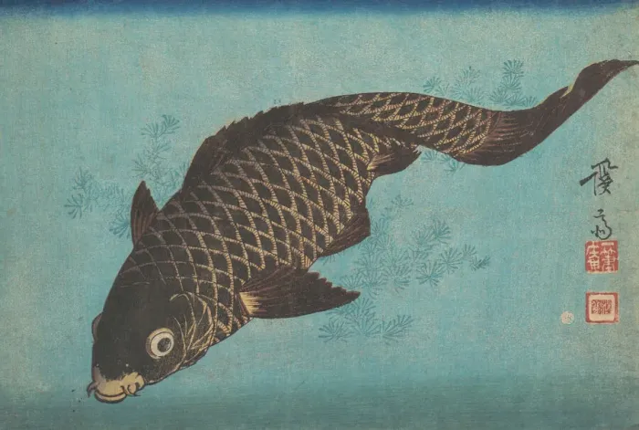 Framed Print : Koi, ca. 1842. Creator: Ikeda Eisen Framed Print : Koi, ca. 1842. Creator: Ikeda Eisen