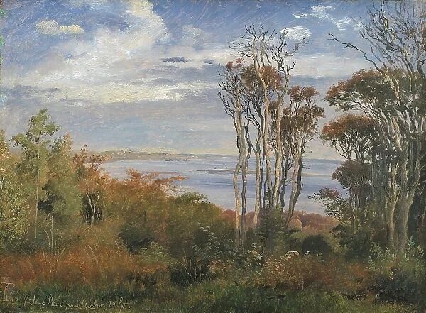 Kolås Wood, Vejrhoj, 1846. Creator: Johan Thomas Lundbye