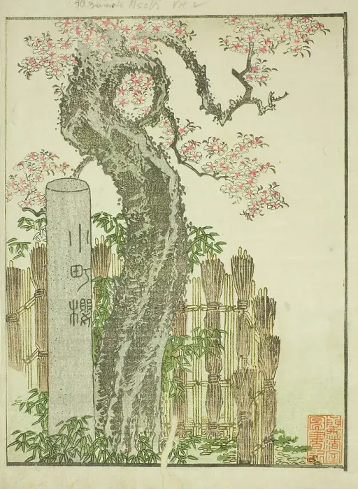 Framed Print : Komachi Cherry Tree (Komachi zakura), from the illustrated book Picture Book of... c. 1802. Creator: Hokusai. Komachi Cherry Tree (Komachi zakura), from the illustrated book Picture Book of... c. 1802. Creator: Hokusai Framed Print : Komachi Cherry Tree (Komachi zakura), from the illustrated book Picture Book of... c. 1802. Creator: Hokusai. Komachi Cherry Tree (Komachi zakura), from the illustrated book Picture Book of... c. 1802. Creator: Hokusai