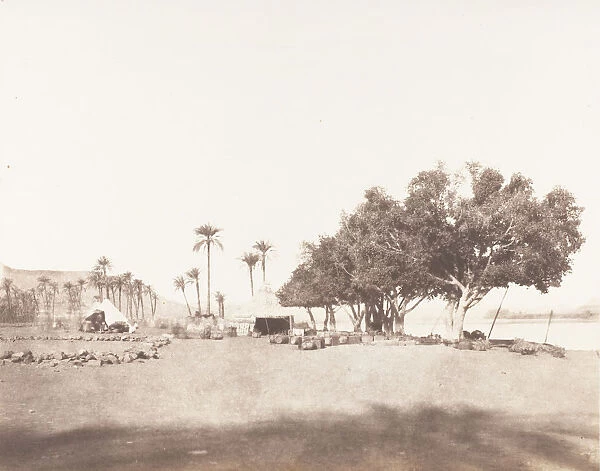 Korosko, Sycomores et Campement d une Caravane pour le Sennar, 1851-52