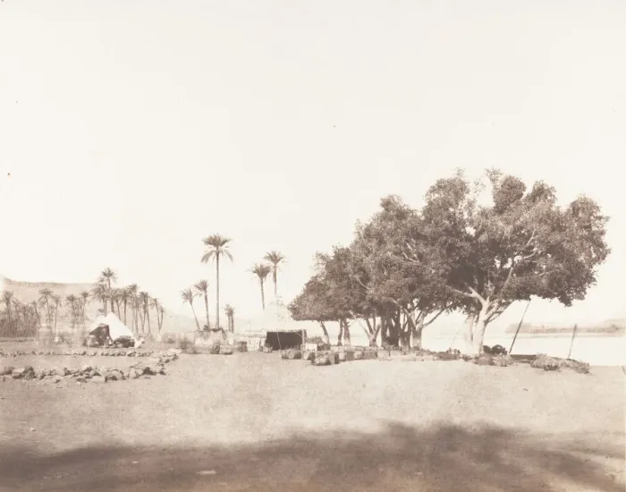 Framed Print : Korosko, Sycomores et Campement d une Caravane pour le Sennar, 1851-52 Framed Print : Korosko, Sycomores et Campement d une Caravane pour le Sennar, 1851-52