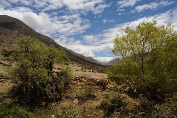 Framed Print : Kotosh, Huanuco, Peru, 2015. Creator: Luis Rosendo Framed Print : Kotosh, Huanuco, Peru, 2015. Creator: Luis Rosendo