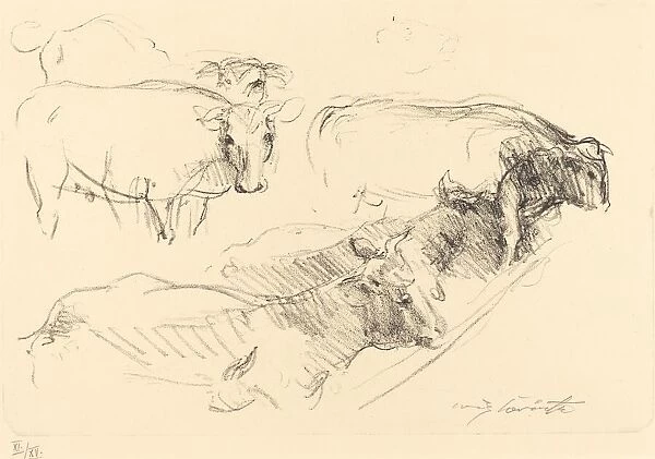 Kühe (Cows), 1910. Creator: Lovis Corinth