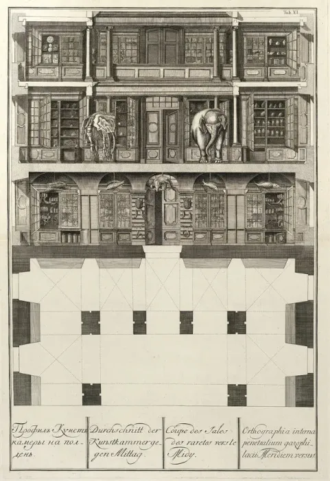 Framed Print : Kunstkammer (From: The building of the Imperial Academy of Sciences), 1741. Artist: Wortmann, Christian Albrecht (1680-1760) Framed Print : Kunstkammer (From: The building of the Imperial Academy of Sciences), 1741. Artist: Wortmann, Christian Albrecht (1680-1760)