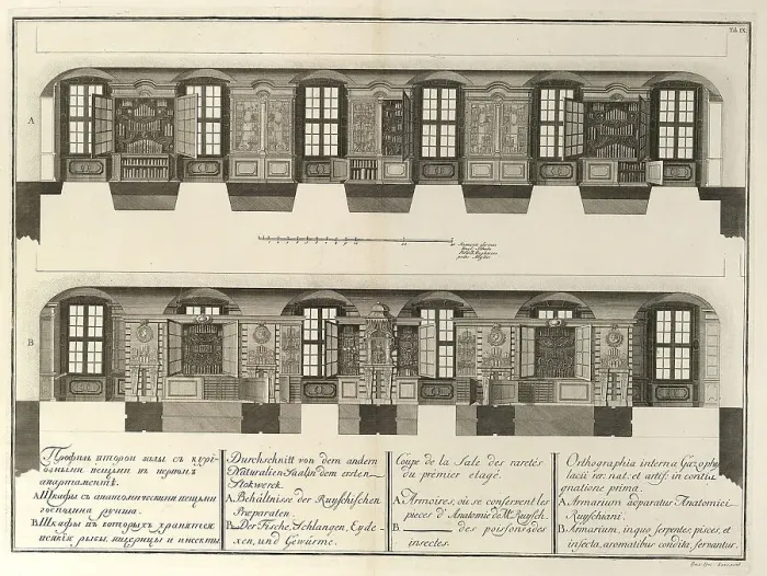 Framed Print : Kunstkammer (From: The building of the Imperial Academy of Sciences), 1741. Artist: Wortmann, Christian Albrecht (1680-1760) Framed Print : Kunstkammer (From: The building of the Imperial Academy of Sciences), 1741. Artist: Wortmann, Christian Albrecht (1680-1760)
