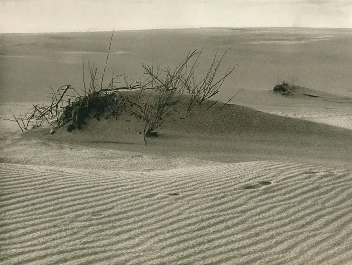 Framed Print : Kurische Nehrung - Shifting dune, 1931. Artist: Kurt Hielscher Framed Print : Kurische Nehrung - Shifting dune, 1931. Artist: Kurt Hielscher