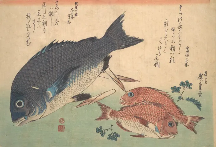 Framed Print : Kurodai and Kodai Fish with Bamboo Shoots and Berries, from the series Uozukushi (Every V... 1830s. Creator: Ando Hiroshige)