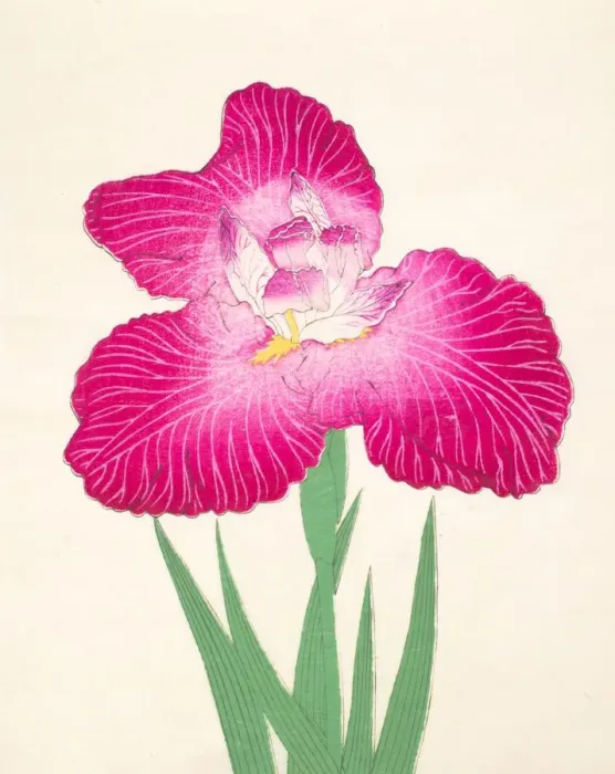 Framed Print : Kyo-Kanoko, No 24, 1890, (colour woodblock print) Framed Print : Kyo-Kanoko, No 24, 1890, (colour woodblock print)