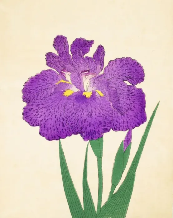 Framed Print : Kyo-Nishiki, No. 11, 1890, (colour woodblock print) Framed Print : Kyo-Nishiki, No. 11, 1890, (colour woodblock print)