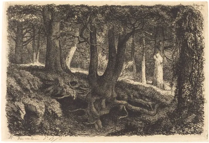 Framed Print : L arbre aux racines (Tree with Roots), published 1849. Creator: Eugene Blery Framed Print : L arbre aux racines (Tree with Roots), published 1849. Creator: Eugene Blery
