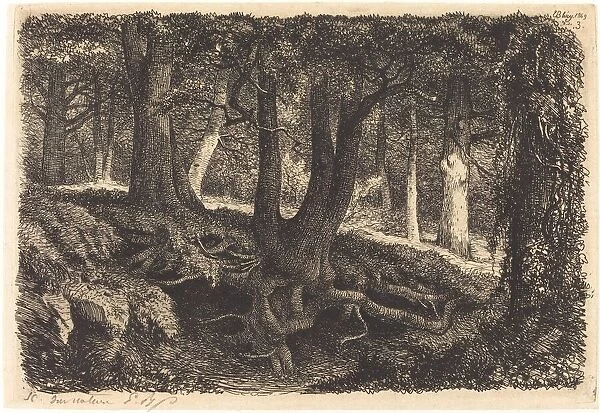L arbre aux racines (Tree with Roots), published 1849. Creator: Eugene Blery