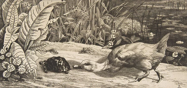 L Inconnu, 1862. Creator: Felix Bracquemond