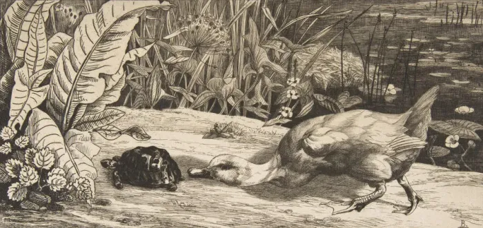 Framed Print : L Inconnu, 1862. Creator: Felix Bracquemond Framed Print : L Inconnu, 1862. Creator: Felix Bracquemond