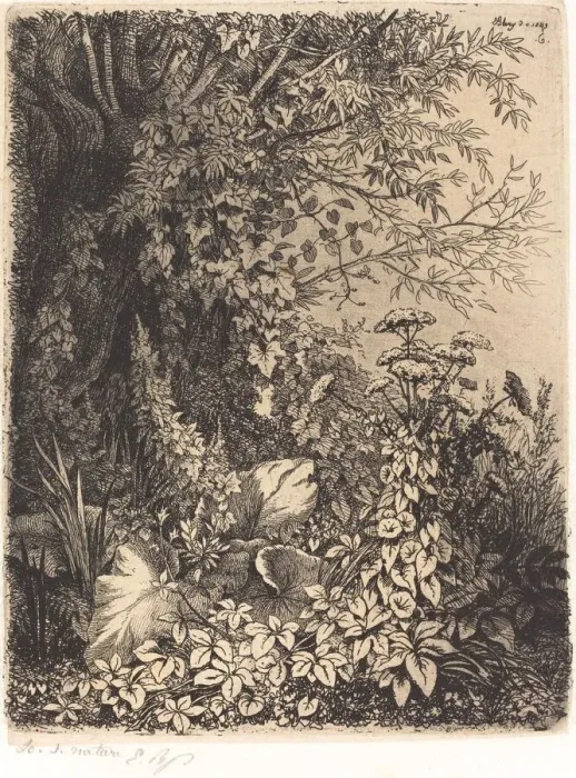 Framed Print : La bardane au saule (Burdock with Willow), published 1849. Creator: Eugene Blery Framed Print : La bardane au saule (Burdock with Willow), published 1849. Creator: Eugene Blery