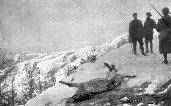 La campagne d'hiver en Orient; Victime de la route: un ane mort d'epuisement, a demi... 1917. Creator: Unknown