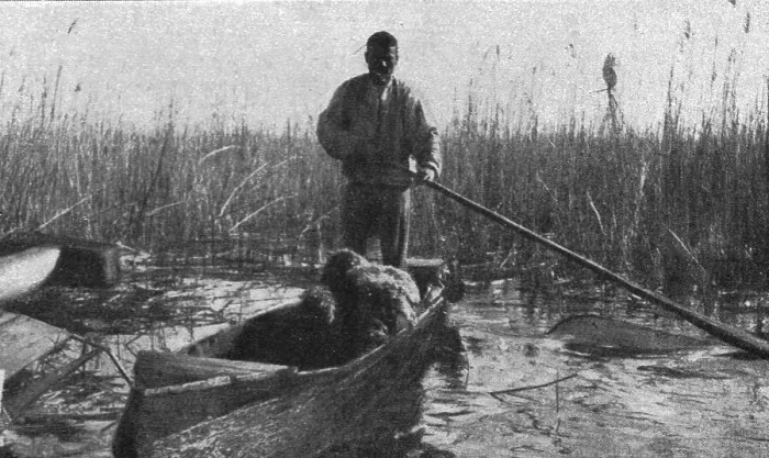 Framed Print : La guerre aerienne en Macedoine Grecque : un avion ennemi Descendu dans le lac amatovo... 1916. Creator: Unknown. La guerre aerienne en Macedoine Grecque : un avion ennemi Descendu dans le lac amatovo... 1916. Creator: Unknown Framed Print : La guerre aerienne en Macedoine Grecque : un avion ennemi Descendu dans le lac amatovo... 1916. Creator: Unknown. La guerre aerienne en Macedoine Grecque : un avion ennemi Descendu dans le lac amatovo... 1916. Creator: Unknown