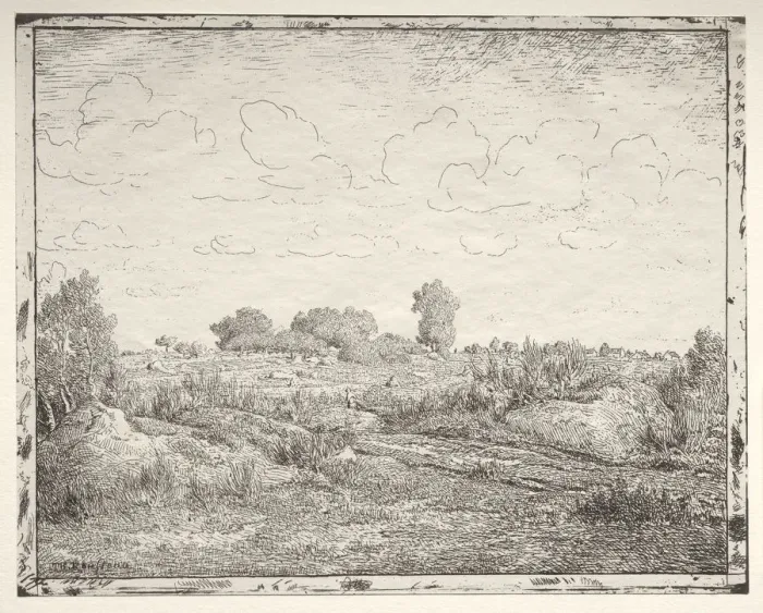 Framed Print : La Plaine de la Plante a Biau. Creator: Theodore Rousseau (French, 1812-1867) Framed Print : La Plaine de la Plante a Biau. Creator: Theodore Rousseau (French, 1812-1867)