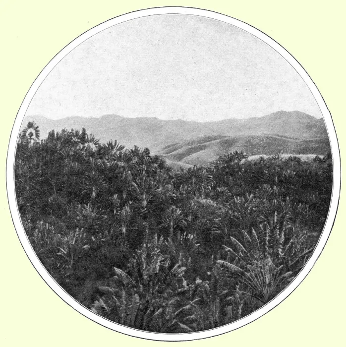 Framed Print : La region des a Madagascar; Iles Africaines de la mer des Indes, 1914. Creator: Unknown. La region des a Madagascar; Iles Africaines de la mer des Indes, 1914. Creator: Unknown Framed Print : La region des a Madagascar; Iles Africaines de la mer des Indes, 1914. Creator: Unknown. La region des a Madagascar; Iles Africaines de la mer des Indes, 1914. Creator: Unknown