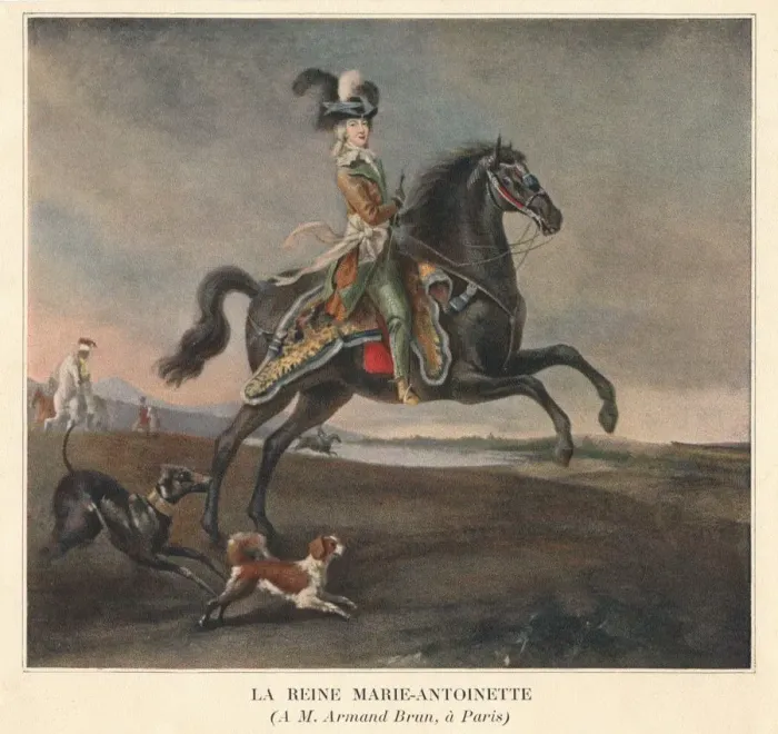 Framed Print : La Reine Marie-Antoinette, 1783. Creator: Unknown Framed Print : La Reine Marie-Antoinette, 1783. Creator: Unknown