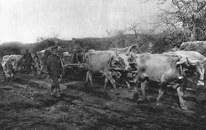 Framed Print : La Tragedie Serbe; Pierre 1er Karageorgevitch quittante le territoirede la Vieille... 1916. Creator: Vladimir Betzitch Framed Print : La Tragedie Serbe; Pierre 1er Karageorgevitch quittante le territoirede la Vieille... 1916. Creator: Vladimir Betzitch