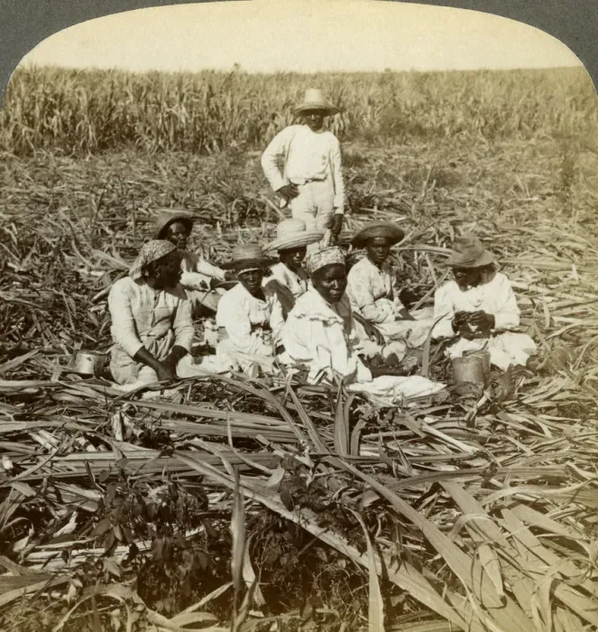 Framed Print : On La Union sugar plantation, San Luis, Santiago Province, Cuba, 1899. Artist: Underwood & Underwood Framed Print : On La Union sugar plantation, San Luis, Santiago Province, Cuba, 1899. Artist: Underwood & Underwood