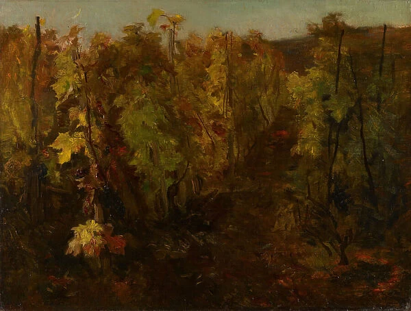 La Vigne [The Vine], 1860-1863. Creator: Charles Francois Daubigny