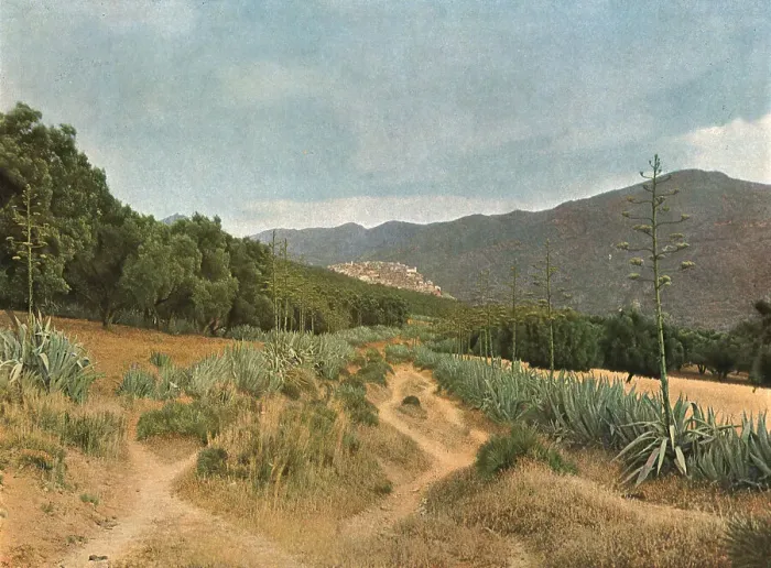 Framed Print : La Zaouia du Moulay Idriss; Afrique du nord, 1914. Creator: Jules Gervais-Courtellemont Framed Print : La Zaouia du Moulay Idriss; Afrique du nord, 1914. Creator: Jules Gervais-Courtellemont