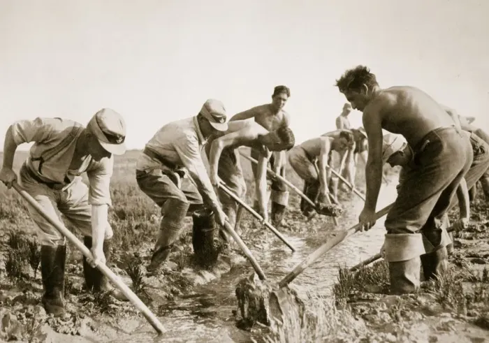 Framed Print : The Labour Service at work, Germany, 1936 Framed Print : The Labour Service at work, Germany, 1936