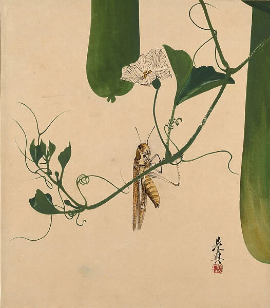 Lacquer Paintings of Various Subjects: Grasshopper on Gourd Vine, 1882. Creator: Shibata Zeshin