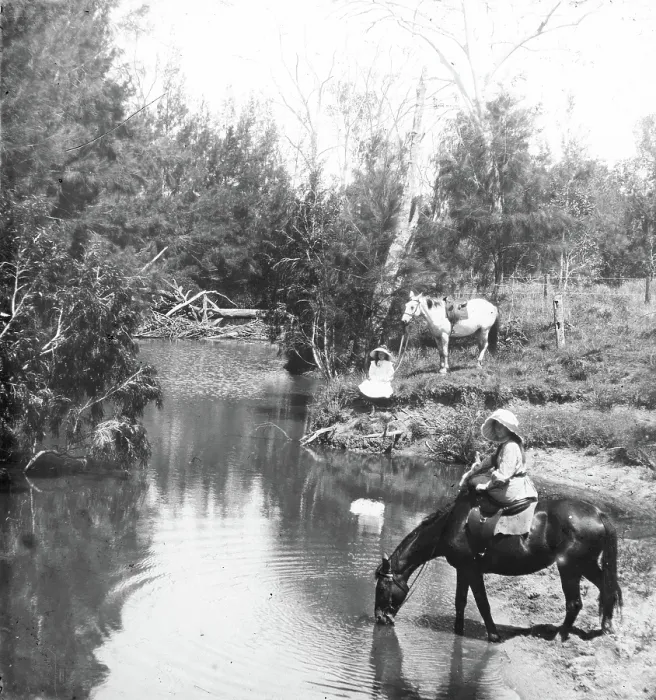 Framed Print : Ladies giving their horses a drink, c1900s. Creator: Robert Augustus Henry L'Estrange. Ladies giving their horses a drink, c1900s. Creator: Robert Augustus Henry L'Estrange Framed Print : Ladies giving their horses a drink, c1900s. Creator: Robert Augustus Henry L'Estrange. Ladies giving their horses a drink, c1900s. Creator: Robert Augustus Henry L'Estrange