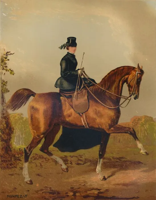 Framed Print : A Ladies Horse - The Property of the Late Earl of Pembroke, c1840s, (c1879). Creator Framed Print : A Ladies Horse - The Property of the Late Earl of Pembroke, c1840s, (c1879). Creator