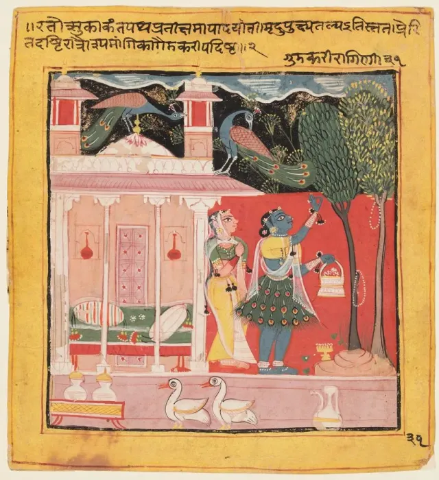 Framed Print : A Lady Plucking Flowers with Peacocks, Gunakali Ragini of Malkos, from the Chawand Framed Print : A Lady Plucking Flowers with Peacocks, Gunakali Ragini of Malkos, from the Chawand