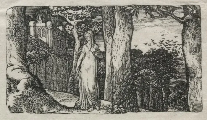 Framed Print : The Lady and the Rooks, 1829. Creator: Edward Calvert (British, 1799-1883) Framed Print : The Lady and the Rooks, 1829. Creator: Edward Calvert (British, 1799-1883)