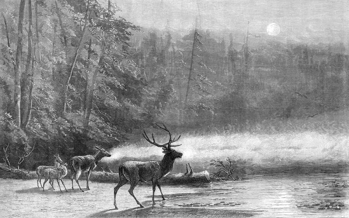Framed Print : Lake Scene - Early Morning, by Mr. Wust, 1871. Creator: William Hollidge Framed Print : Lake Scene - Early Morning, by Mr. Wust, 1871. Creator: William Hollidge