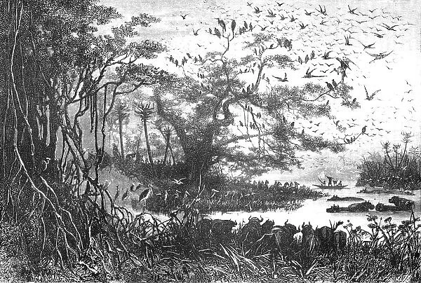 'Lake scenery in Central Africa; The regions of the Cazembe, 1875. Creator: Unknown