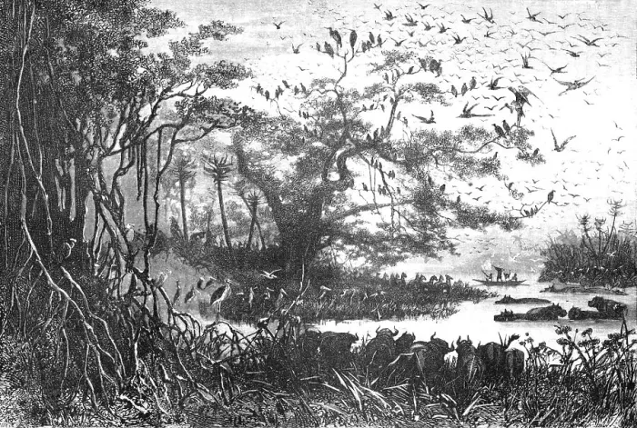 Framed Print : Lake scenery in Central Africa; The regions of the Cazembe, 1875. Creator: Unknown Framed Print : Lake scenery in Central Africa; The regions of the Cazembe, 1875. Creator: Unknown