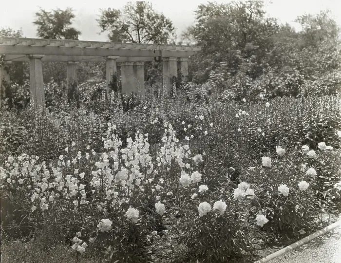 Framed Print : Lake Terrace, John Stoughton Newberry, Jr. house, 99 Lake Shore Drive, Grosse Pointe Farms, 1917. Creator: Frances Benjamin Johnston. Lake Terrace, John Stoughton Newberry, Jr. house, 99 Lake Shore Drive, Grosse Pointe Farms, 1917 Framed Print : Lake Terrace, John Stoughton Newberry, Jr. house, 99 Lake Shore Drive, Grosse Pointe Farms, 1917. Creator: Frances Benjamin Johnston. Lake Terrace, John Stoughton Newberry, Jr. house, 99 Lake Shore Drive, Grosse Pointe Farms, 1917